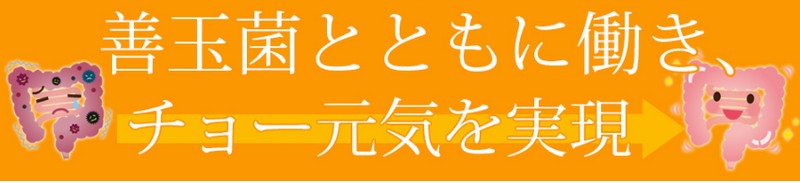 デオドラントサプリ【腸からはじめませんか】の消臭効果と情報サイト